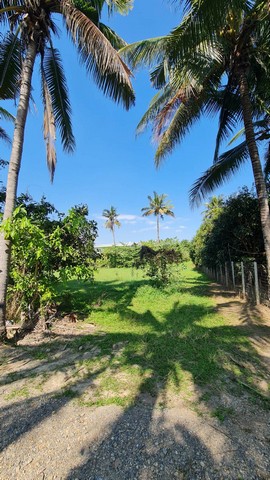  ขายที่ดิน 2 ไร่ 2 งาน 10 ตารางวา ต.ท่าวังตาล อ.สารภี จ.เชียงใหม่