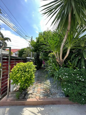 ขายบ้านเดี่ยวชัยพฤกษ์ 2 ชั้น 66.5  ตร.ว 4 ห้องนอน 3 ห้องน้ำ 1ห้องแม่บ้าน  ห้องรับแขก ห้องครัว 3 ที่จอดรถ  กรุงเทพมหานคร 