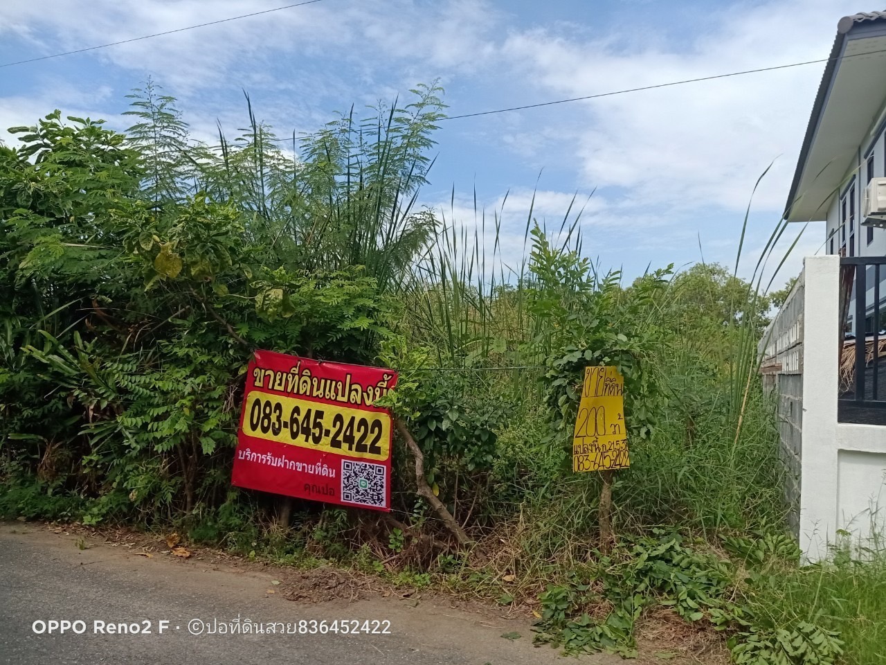 ขายด่วน‼ ที่ดินคลองสอง 200 ตารางวา ติดถนนสาธารณะ มีไฟฟ้า+ประปา อ.คลองหลวง จ.ปทุมธานี