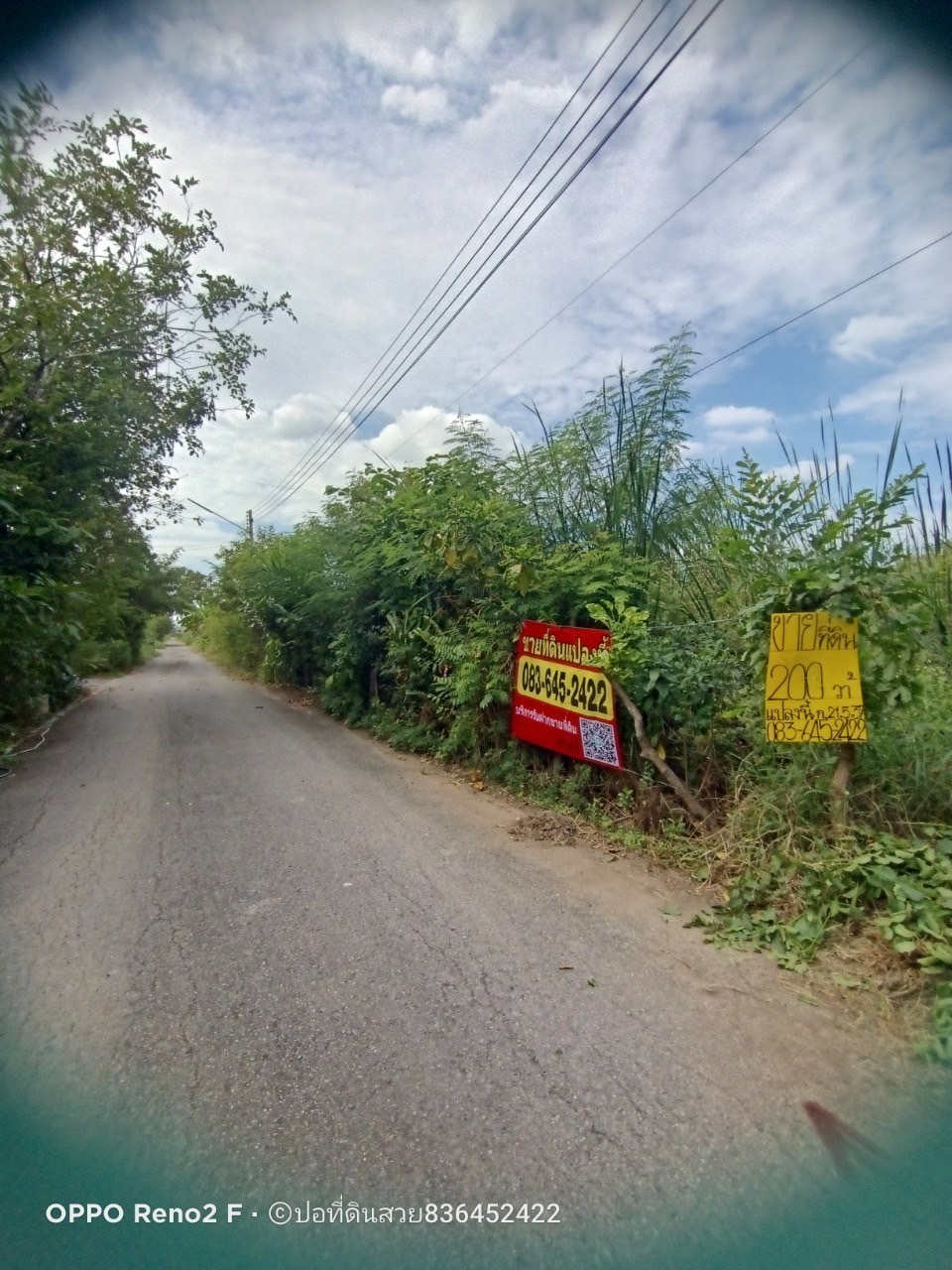 ขายด่วน‼ ที่ดินคลองสอง 200 ตารางวา ติดถนนสาธารณะ มีไฟฟ้า+ประปา อ.คลองหลวง จ.ปทุมธานี