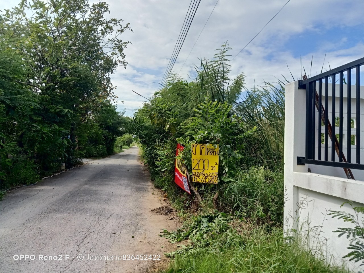 ขายด่วน‼ ที่ดินคลองสอง 200 ตารางวา ติดถนนสาธารณะ มีไฟฟ้า+ประปา อ.คลองหลวง จ.ปทุมธานี