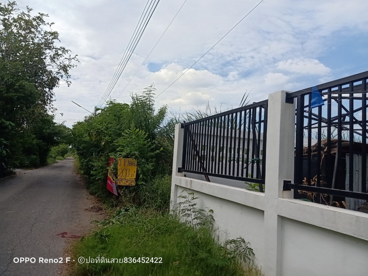 ขายด่วน‼ ที่ดินคลองสอง 200 ตารางวา ติดถนนสาธารณะ มีไฟฟ้า+ประปา อ.คลองหลวง จ.ปทุมธานี