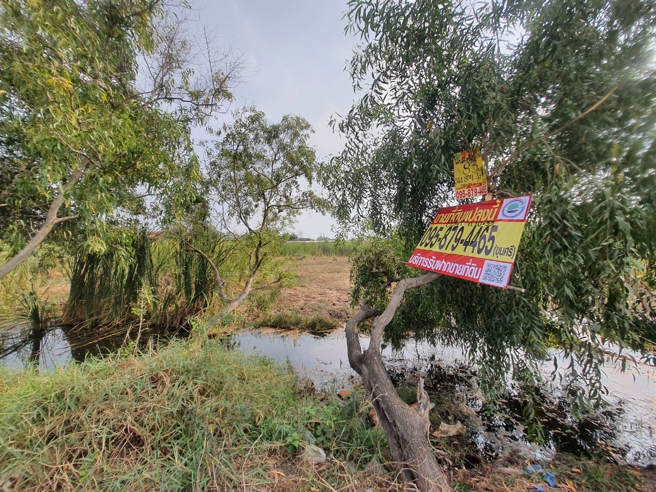 ขายถูก‼ ที่ดินคลองสอง 83 ตารางวา ติดถนนลาดยางสาธารณะ ซอย บงกช 38 อ.คลองหลวง จ.ปทุมธานี