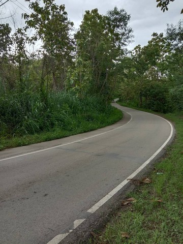 ขายที่ดิน ขนาดที่ดิน  6 ไร่ 3 งาน 24 ตารางวา เชียงใหม่