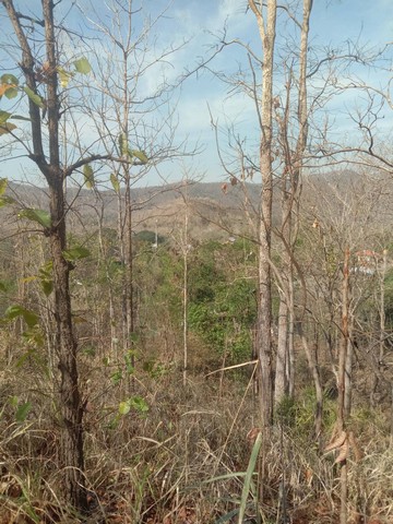 ขายที่ดิน ขนาดที่ดิน  6 ไร่ 3 งาน 24 ตารางวา เชียงใหม่