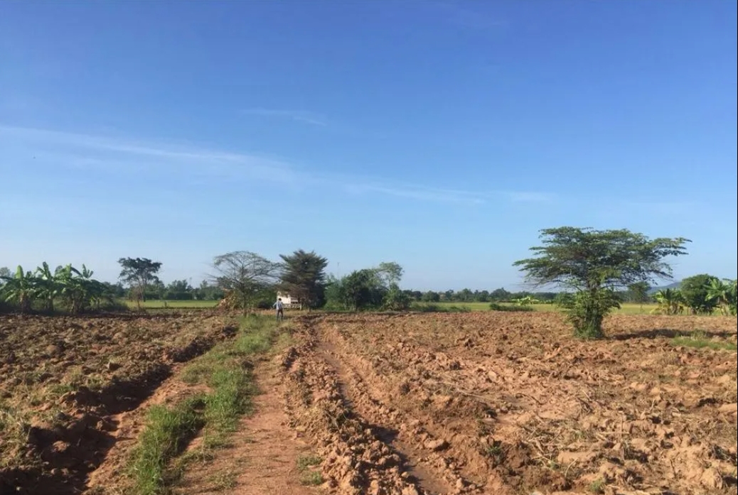 ขายที่ดินติดถนนสายเอเซีย  13,976 ตารางเมตร ราคาถูกต่อรองได้ ชัยนาท  ที่ตั้ง : ต.หางน้ำสาคร อ.มโนรมย์ จ.ชัยนาท 17170  ขนาดที่ดิน :  13,976 ตารางเมตร  รายละเอียด ที่ดิ