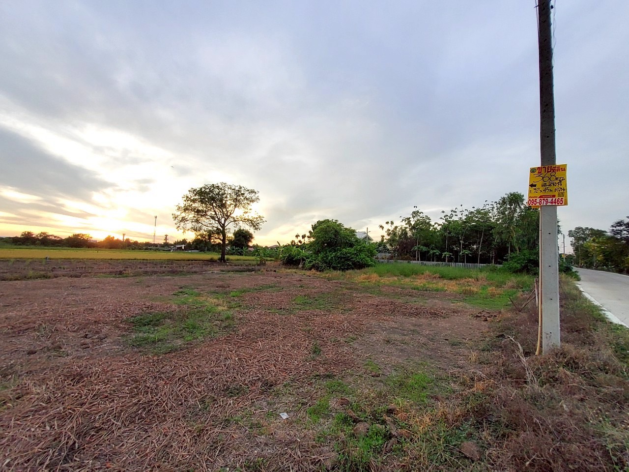 ขายด่วน ที่ดินติดถนนเลียบคลองห้า 368 ตารางวา ติดถนนคอนกรีตสาธารณะ  อ.คลองหลวง จ.ปทุมธานี