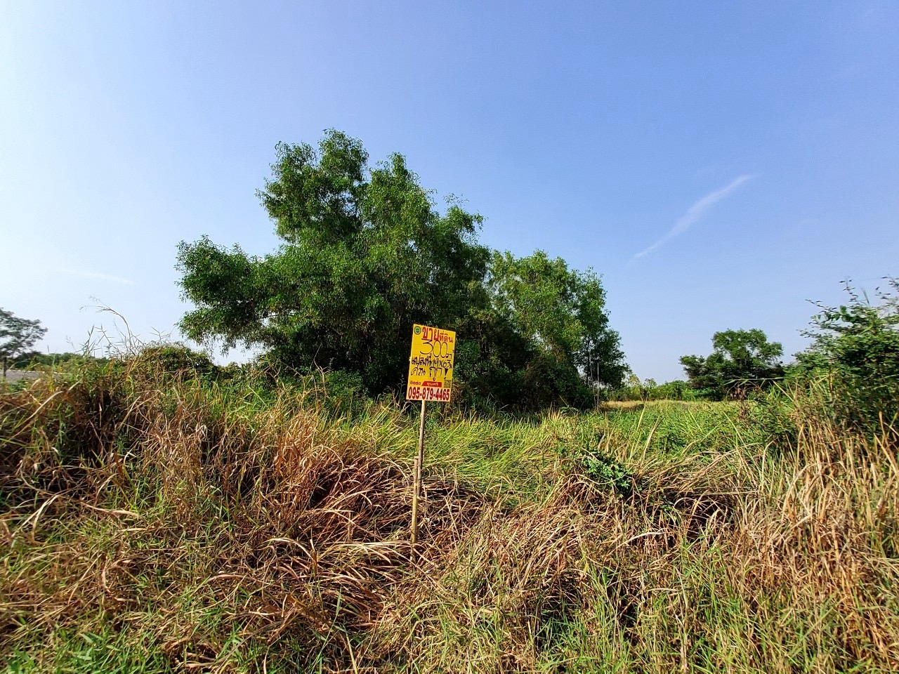 ขายด่วน ที่ดินคลองสิบสี่ 300 ตารางวา ถมแล้วทั้งแปลง โครงการกนกกุล 3 อ.หนองเสือ จ.ปทุมธานี