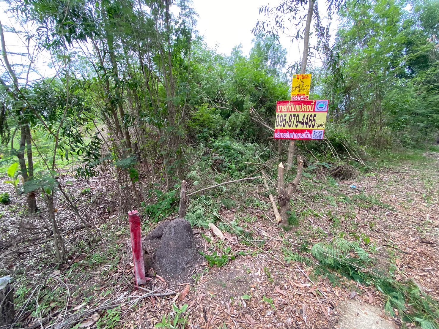 ขายถูก ที่ดินคลองสิบ 2 ไร่ แปลงริม, ถมไว้แล้ว 1 ไร่, ติดถนนคอนกรีต อ.หนองเสือ จ,ปทุมธานี