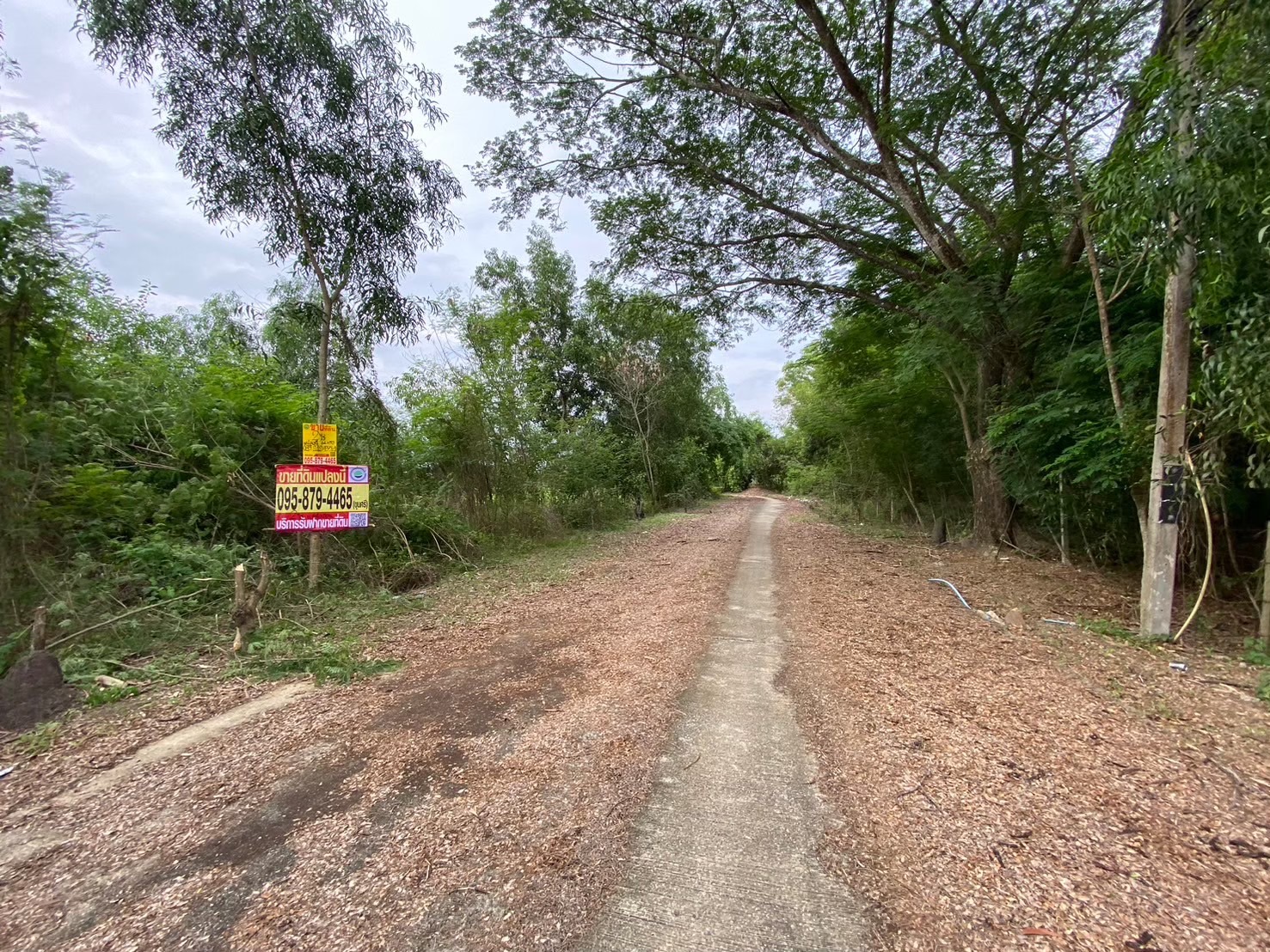 ขายถูก ที่ดินคลองสิบ 2 ไร่ แปลงริม, ถมไว้แล้ว 1 ไร่, ติดถนนคอนกรีต อ.หนองเสือ จ,ปทุมธานี