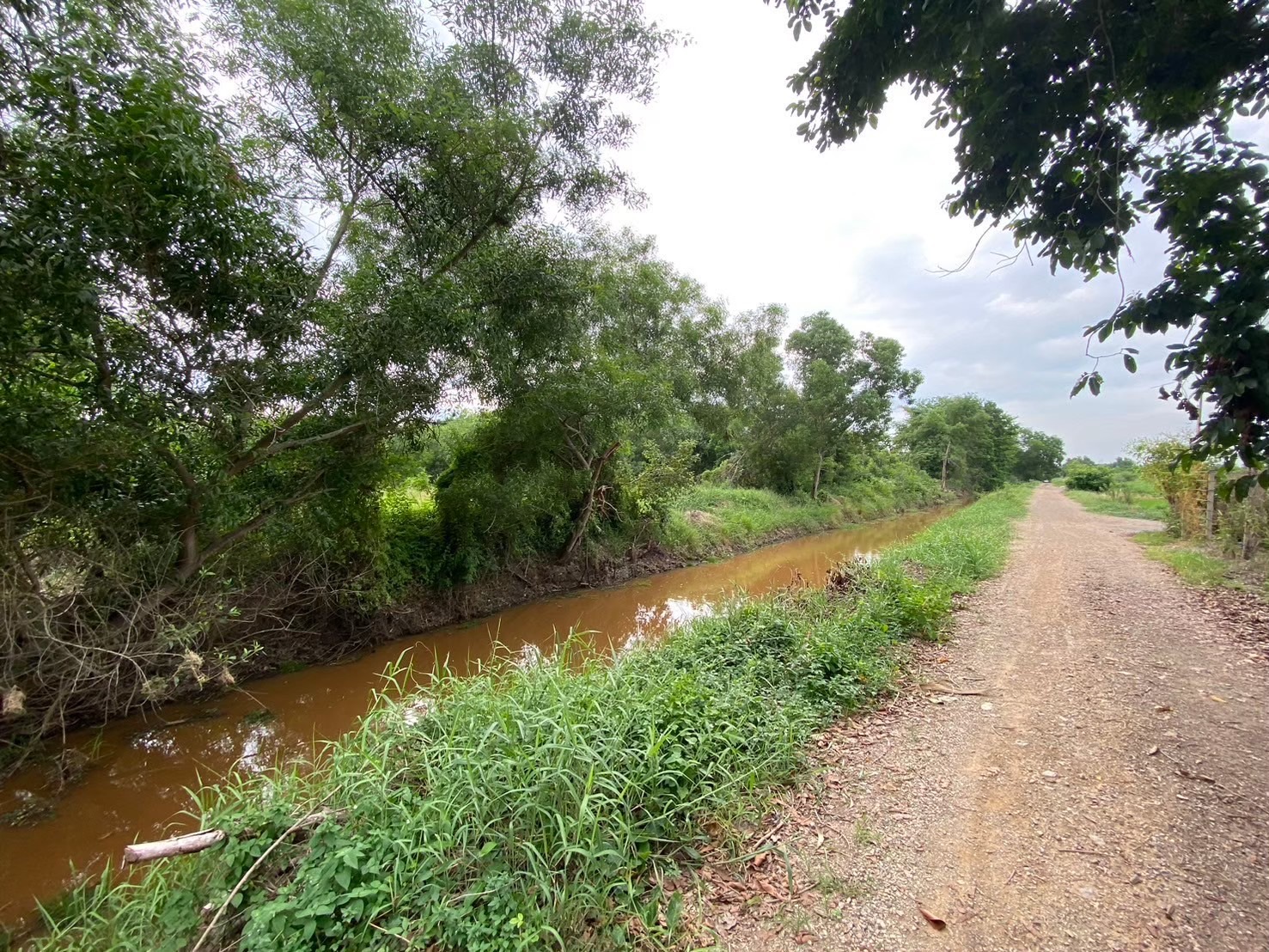 ขายถูก ที่ดินคลองสิบ 2 ไร่ แปลงริม, ถมไว้แล้ว 1 ไร่, ติดถนนคอนกรีต อ.หนองเสือ จ,ปทุมธานี