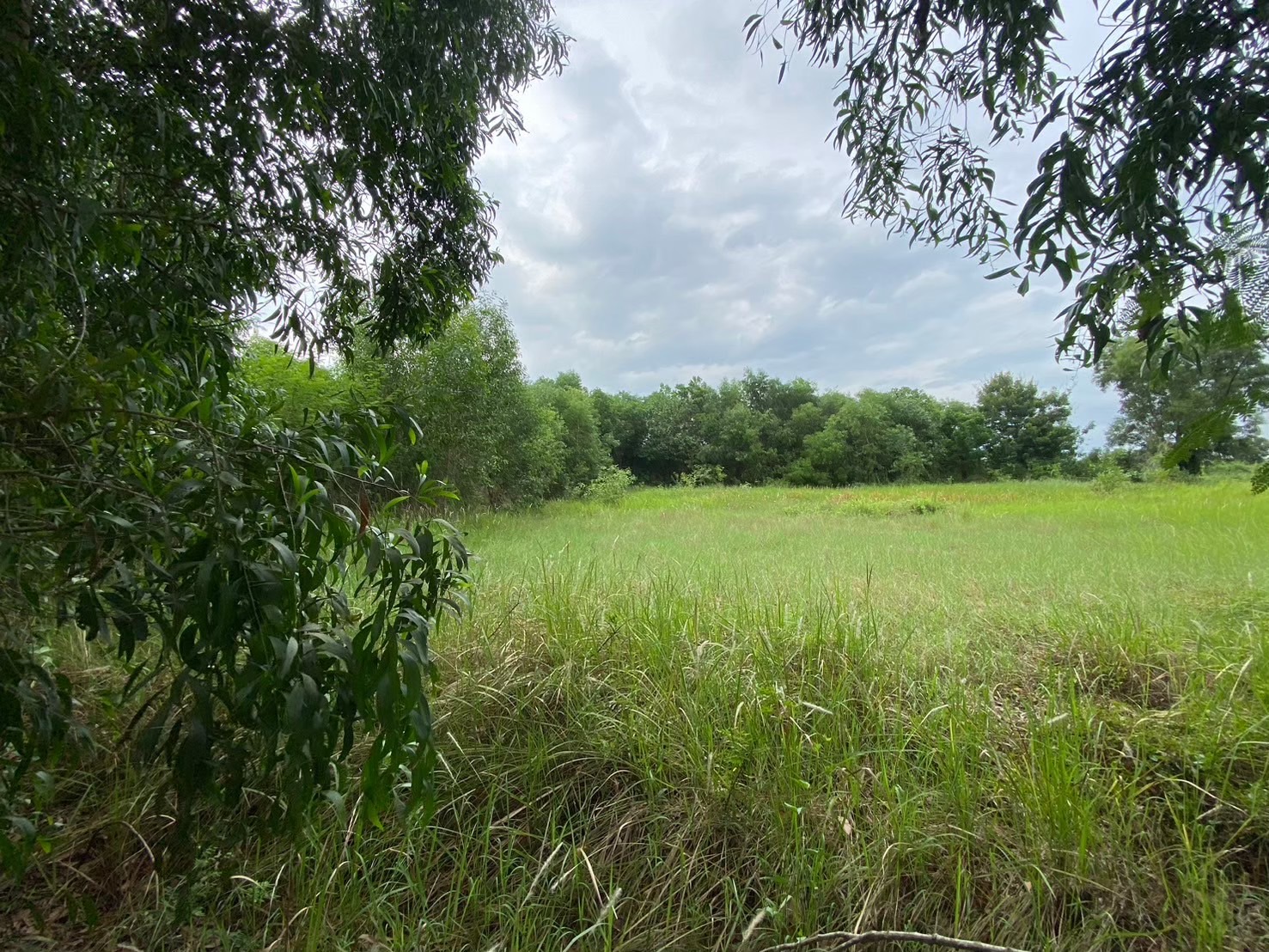 ขายถูก ที่ดินคลองสิบ 2 ไร่ แปลงริม, ถมไว้แล้ว 1 ไร่, ติดถนนคอนกรีต อ.หนองเสือ จ,ปทุมธานี