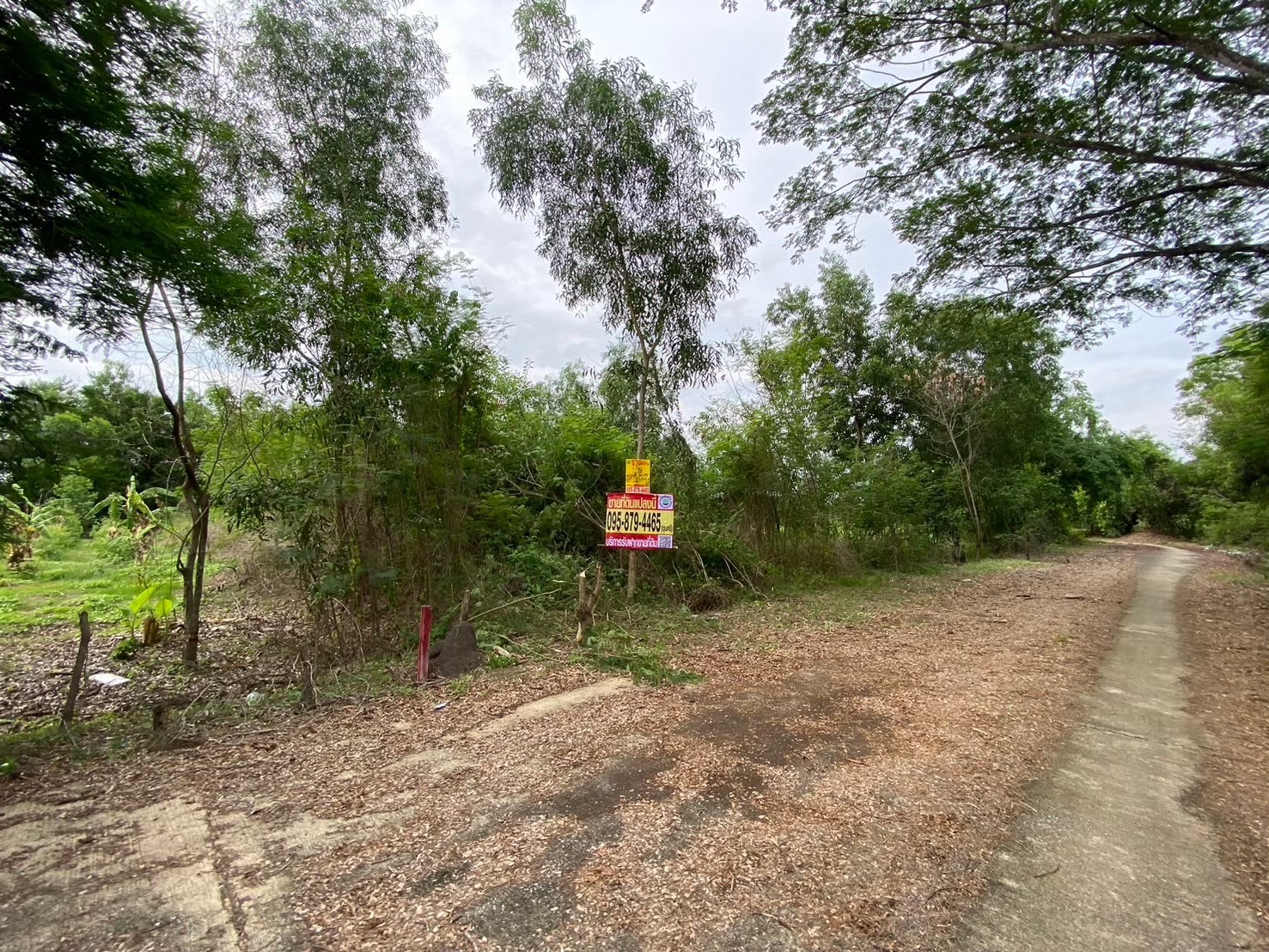 ขายถูก ที่ดินคลองสิบ 2 ไร่ แปลงริม, ถมไว้แล้ว 1 ไร่, ติดถนนคอนกรีต อ.หนองเสือ จ,ปทุมธานี