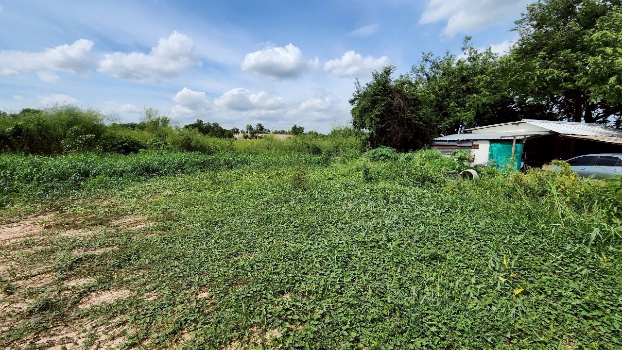 ขายด่วน ที่ดินถมแล้ว 100 ตารางวา ติดถนนคอนกรีตสาธารณะ ซอยคลองสาม 7/6 อ.คลองหลวง จ.ปทุมธานี