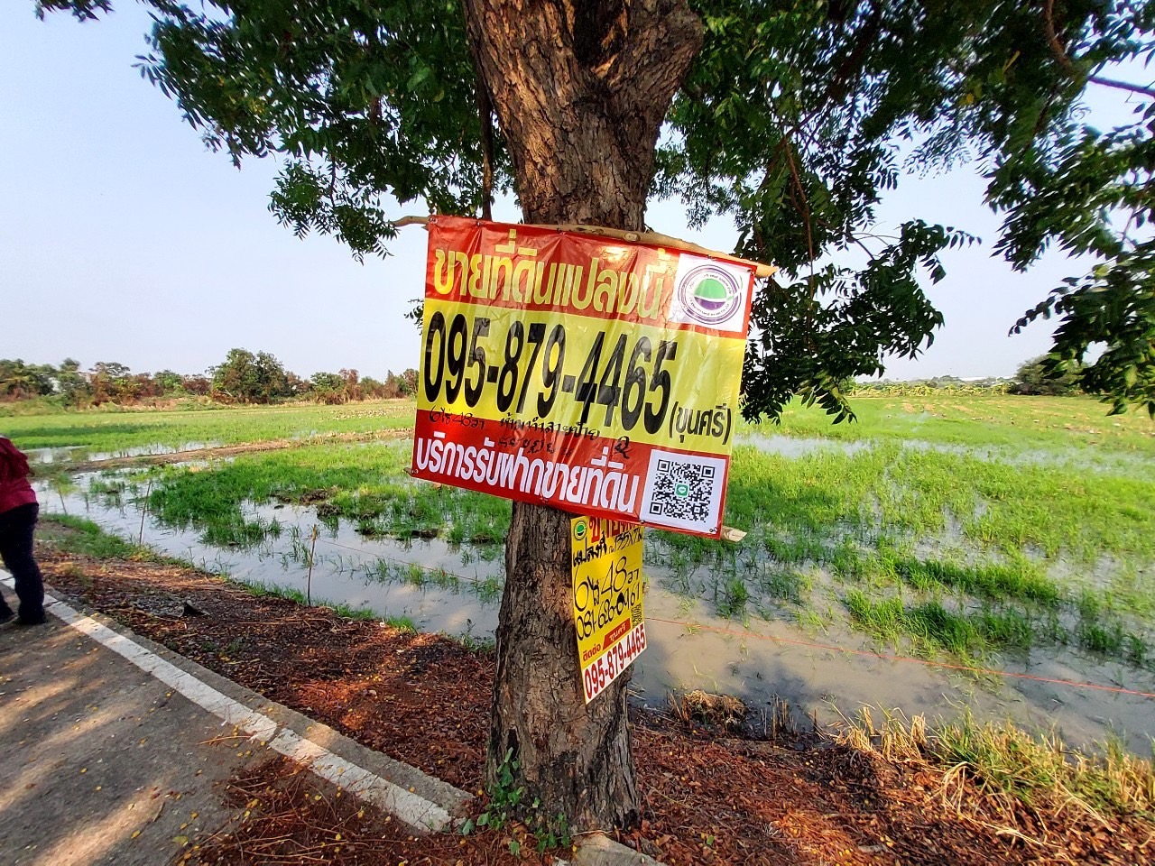 ขายด่วน ที่ดินบ้านปทุม 6 ไร่เศษ ติดถนนคอนกรีตสาธารณะ ซอยวัดบัวแก้ววราราม อ.สามโคก จ.ปทุมธานี