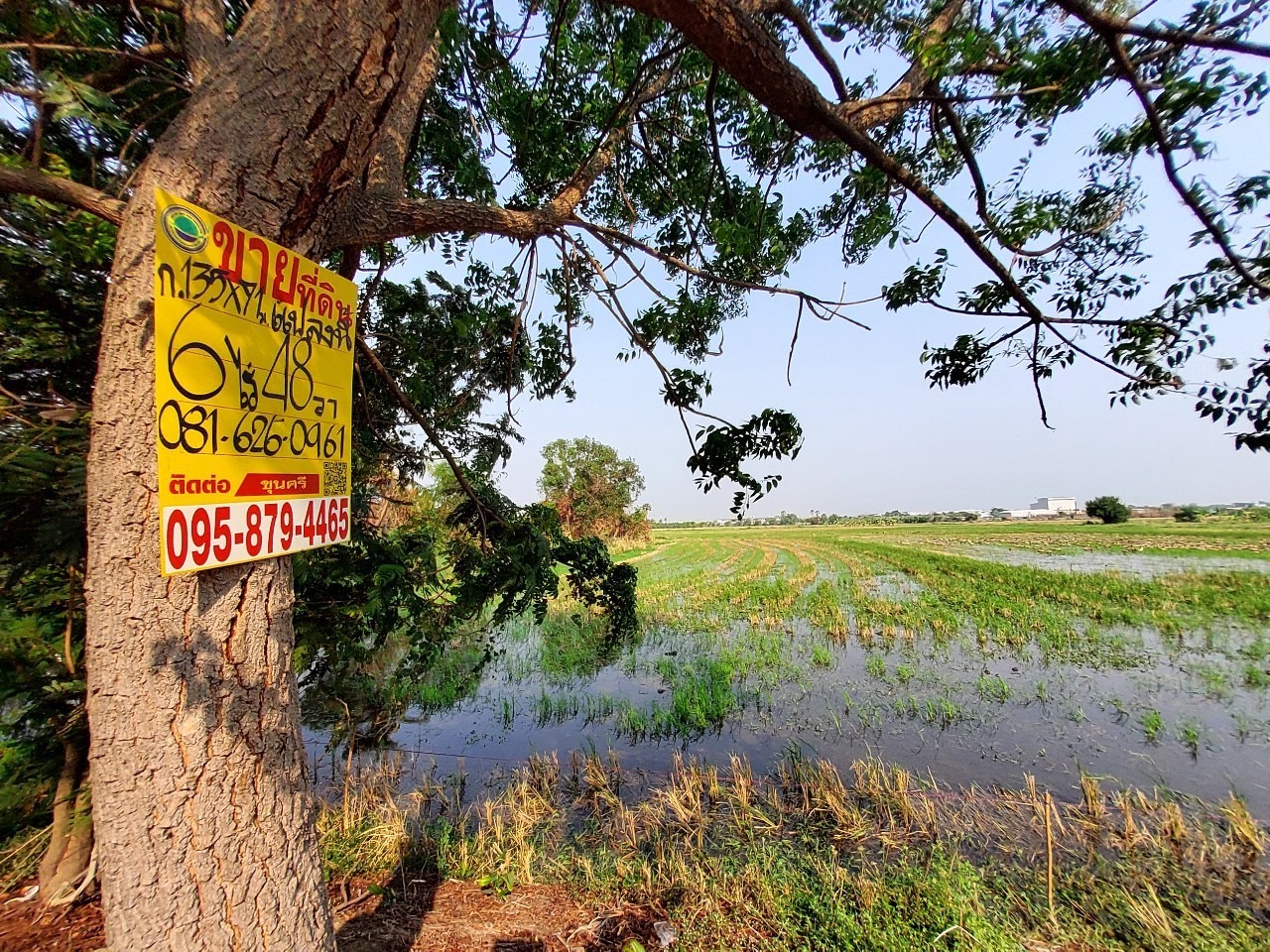 ขายด่วน ที่ดินบ้านปทุม 6 ไร่เศษ ติดถนนคอนกรีตสาธารณะ ซอยวัดบัวแก้ววราราม อ.สามโคก จ.ปทุมธานี