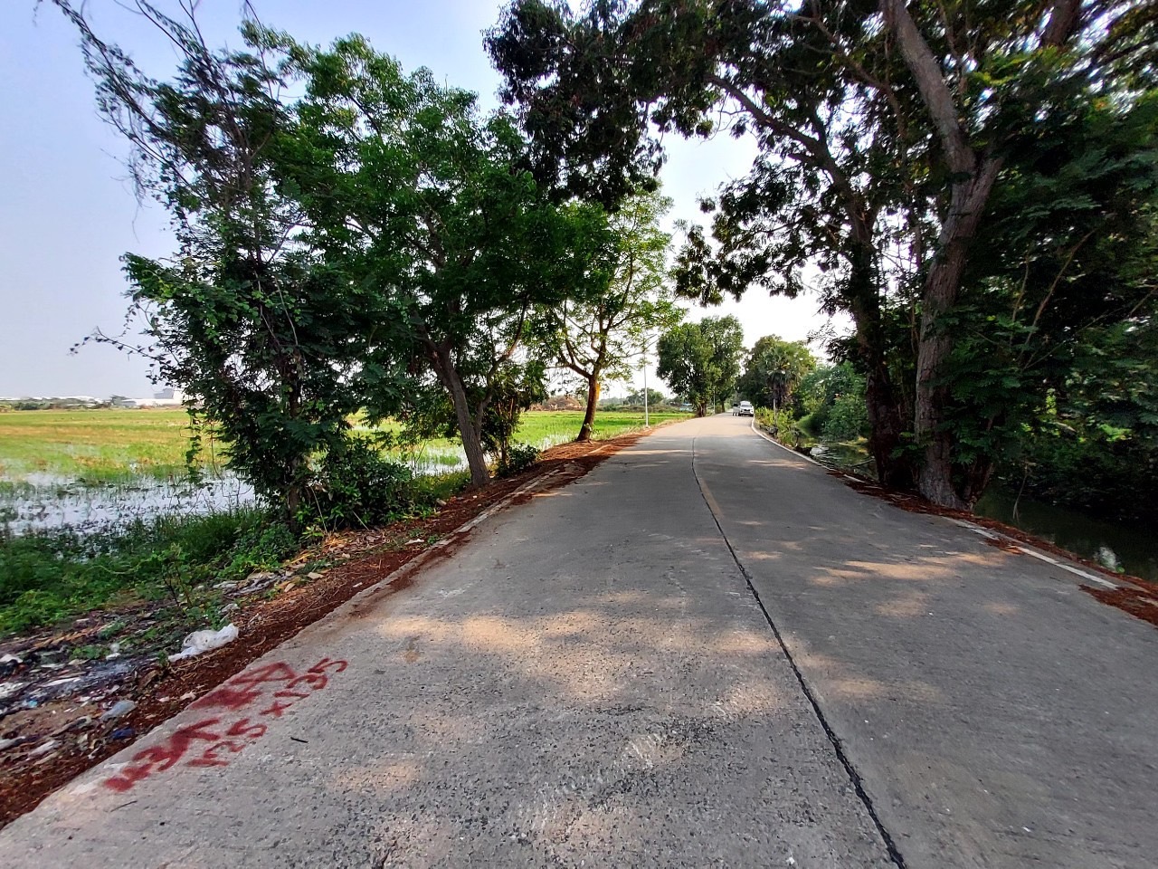 ขายด่วน ที่ดินบ้านปทุม 6 ไร่เศษ ติดถนนคอนกรีตสาธารณะ ซอยวัดบัวแก้ววราราม อ.สามโคก จ.ปทุมธานี