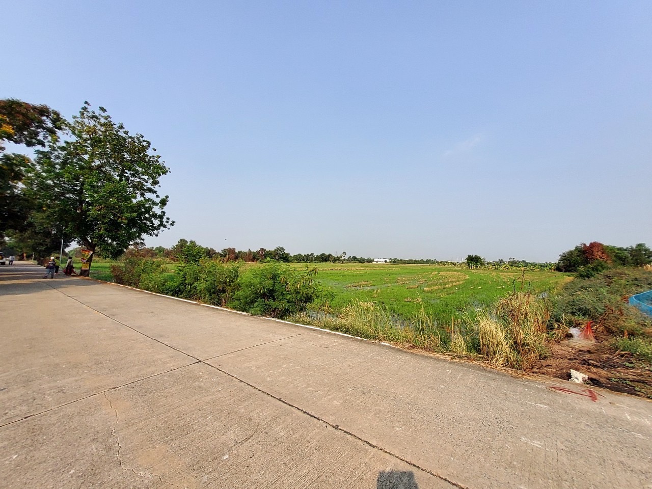 ขายด่วน ที่ดินบ้านปทุม 6 ไร่เศษ ติดถนนคอนกรีตสาธารณะ ซอยวัดบัวแก้ววราราม อ.สามโคก จ.ปทุมธานี