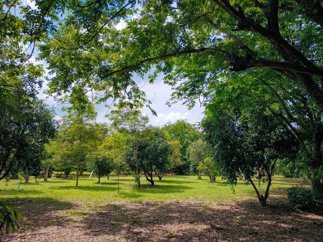 ขายที่ดินพร้อมสิ่งปลูกสร้าง บนเนื้อที่ 18 ไร่ 2 งาน 19 ตารางวา