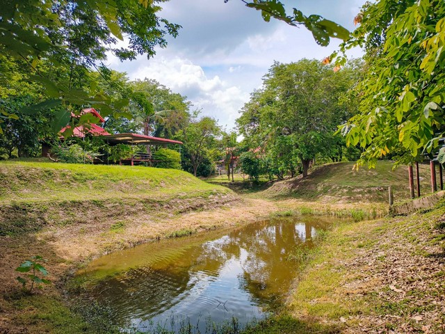 ขายที่ดินพร้อมสิ่งปลูกสร้าง บนเนื้อที่ 18 ไร่ 2 งาน 19 ตารางวา