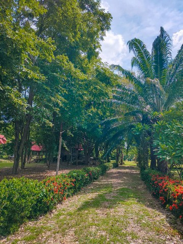 ขายที่ดินพร้อมสิ่งปลูกสร้าง บนเนื้อที่ 18 ไร่ 2 งาน 19 ตารางวา