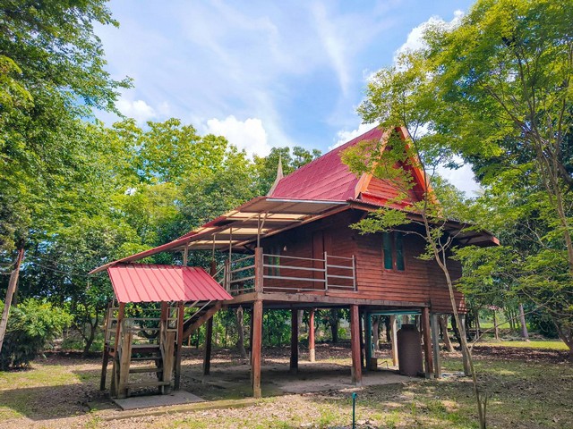 ขายที่ดินพร้อมสิ่งปลูกสร้าง บนเนื้อที่ 18 ไร่ 2 งาน 19 ตารางวา