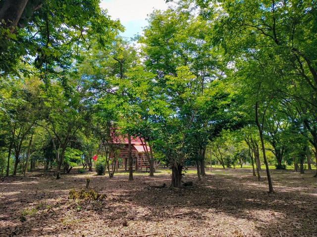 ขายที่ดินพร้อมสิ่งปลูกสร้าง บนเนื้อที่ 18 ไร่ 2 งาน 19 ตารางวา