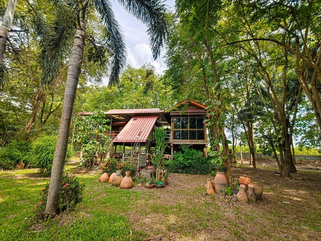 ขายที่ดินพร้อมสิ่งปลูกสร้าง บนเนื้อที่ 18 ไร่ 2 งาน 19 ตารางวา