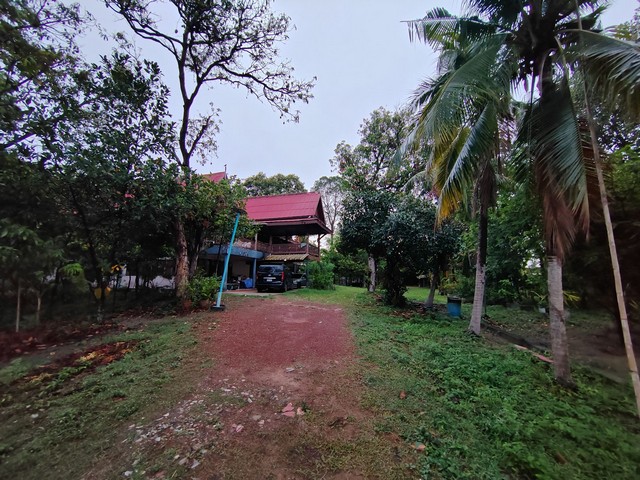 ขายที่ดินพร้อมสิ่งปลูกสร้าง บ้านเรือนไทย โฉนดที่ดิน ครุฑแดง อำนาจเจริญ 