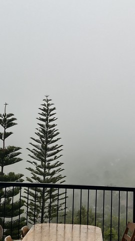 ที่ดินสวยวิวเขา ..หนึ่งเดียวบนเขาค้อ 