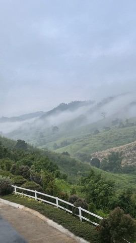 ที่ดินสวยวิวเขา ..หนึ่งเดียวบนเขาค้อ 