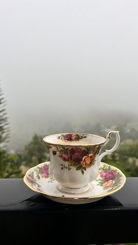 ที่ดินสวยวิวเขา ..หนึ่งเดียวบนเขาค้อ 