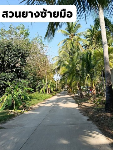 ขายที่สวนยางยกแปลง โฉนดครุฑแดง 5 ไร่ 30 ตารางวา ประจวบคีรีขันธ์