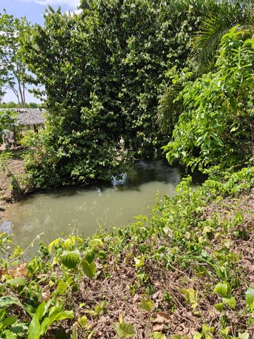 ขายที่ดิน  2 แปลง แปลงใหญ่เนื้อที่ 10 ไร่ 64 ตารางวา  สุราษฎร์ธานี