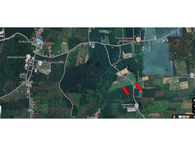 ขายที่ดิน  2 แปลง แปลงใหญ่เนื้อที่ 10 ไร่ 64 ตารางวา  สุราษฎร์ธานี