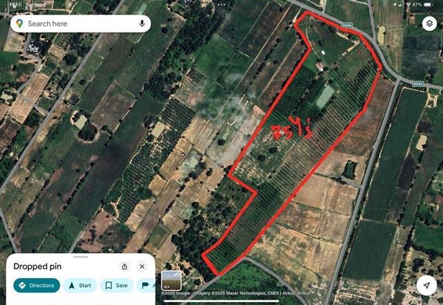  ขายที่ดินทำเลดี ที่ดินสวนไผ่ซางหม่นอายุ 5 ปี พร้อมที่พัก เจ้าของขายเอง สุพรรณบุรี 