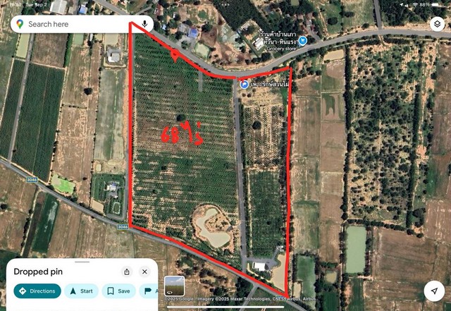 ขายที่ดินทำเลดี แปลงสวย ติดถนน 3 ด้าน พร้อมสวนไผ่ และ สวนป่า พร้อมบ้านพัก เจ้าของขายเอง ตำบลสระกระโจม อำเภอดอนเจดีย์  จังหวัดสุพรรณบุรี 