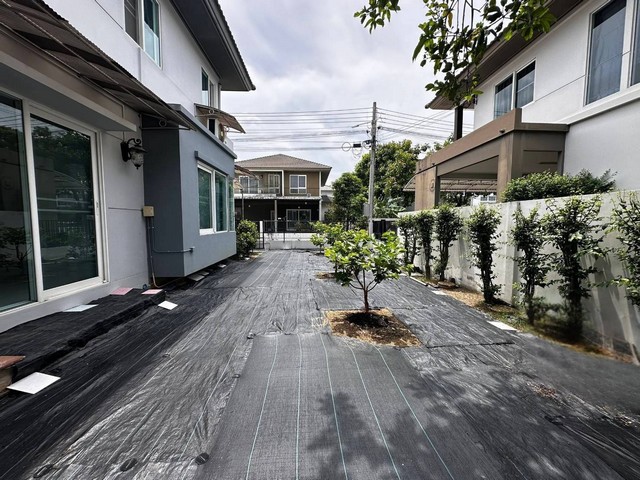 ขายบ้านเดี่ยว 2 ชั้น โครงการชัยพฤกษ์ พุทธมณฑล สาย 5 นครปฐม 