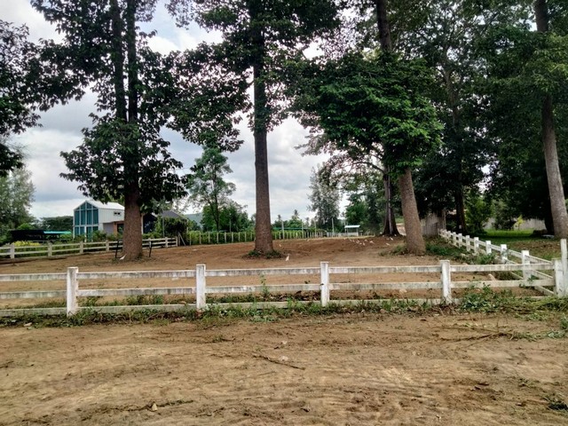 ขายที่ดินติดแม่น้ำเพชรบุรี 1 ไร่  67 ตารางวา ทำเลธรรมชาติ   เพชรบุรี