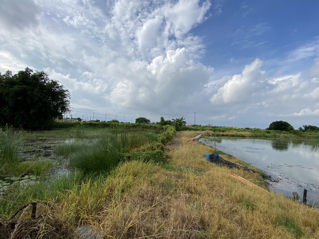 ขายที่ดินเปล่า ทำเลดี เจ้าของขายเอง ตำบลคลองด่าน อำเภอบางบ่อ สมุทรปราการ