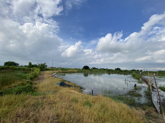 ขายที่ดินเปล่า ทำเลดี เจ้าของขายเอง ตำบลคลองด่าน อำเภอบางบ่อ สมุทรปราการ