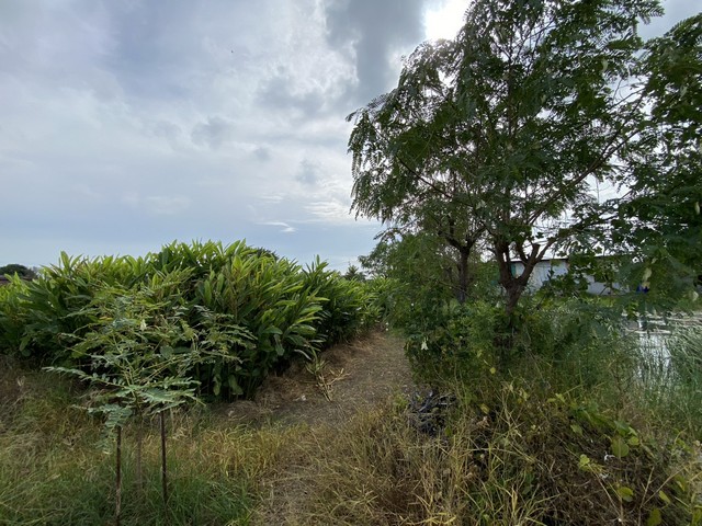 ขายที่ดินเปล่า ทำเลดี เจ้าของขายเอง ตำบลคลองด่าน อำเภอบางบ่อ สมุทรปราการ