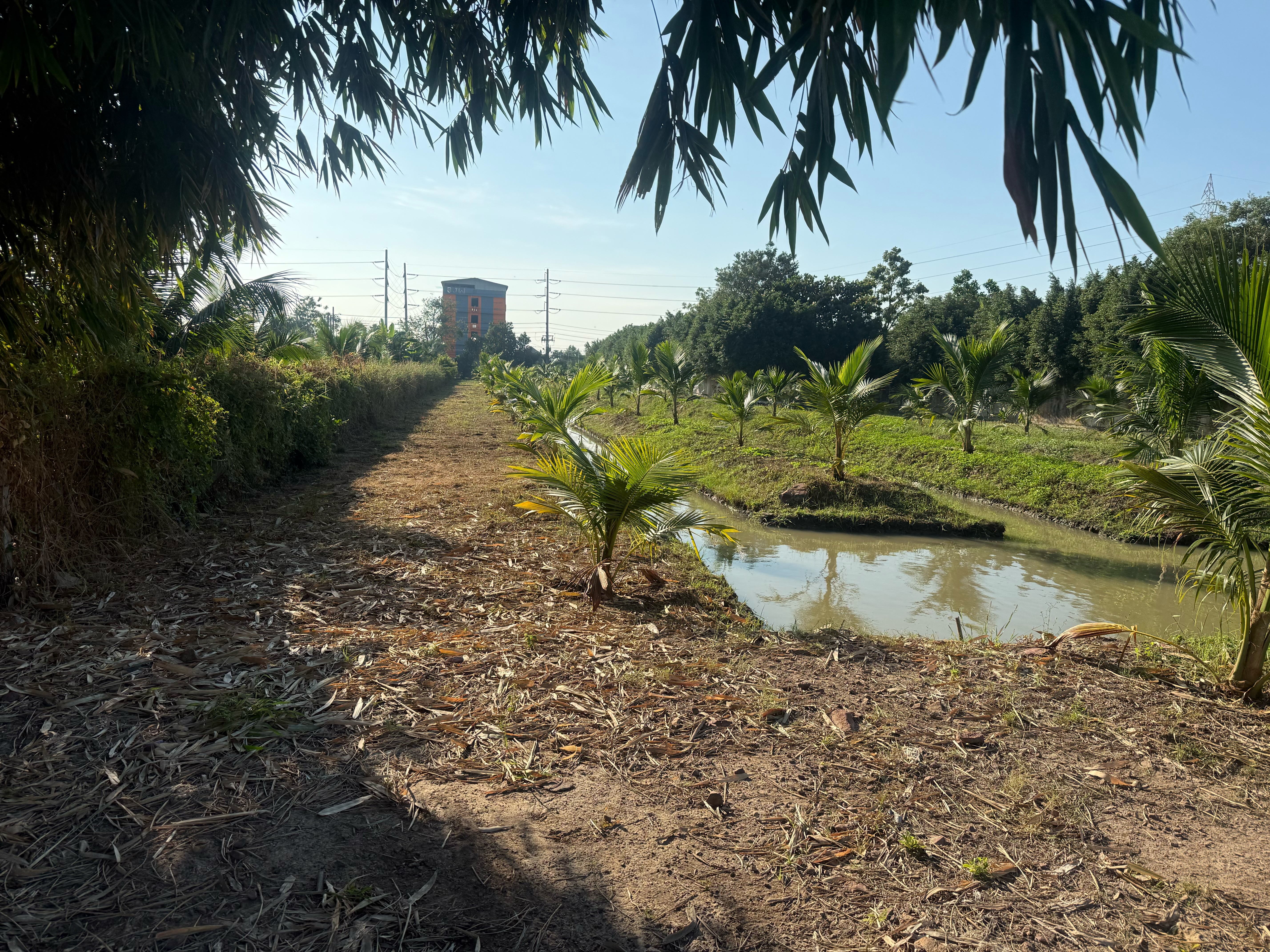 ขายที่ดินสำหรับสร้างบ้านอยู่อาศัย โกดัง หรือเพื่อการลงทุน สมุทรสาคร