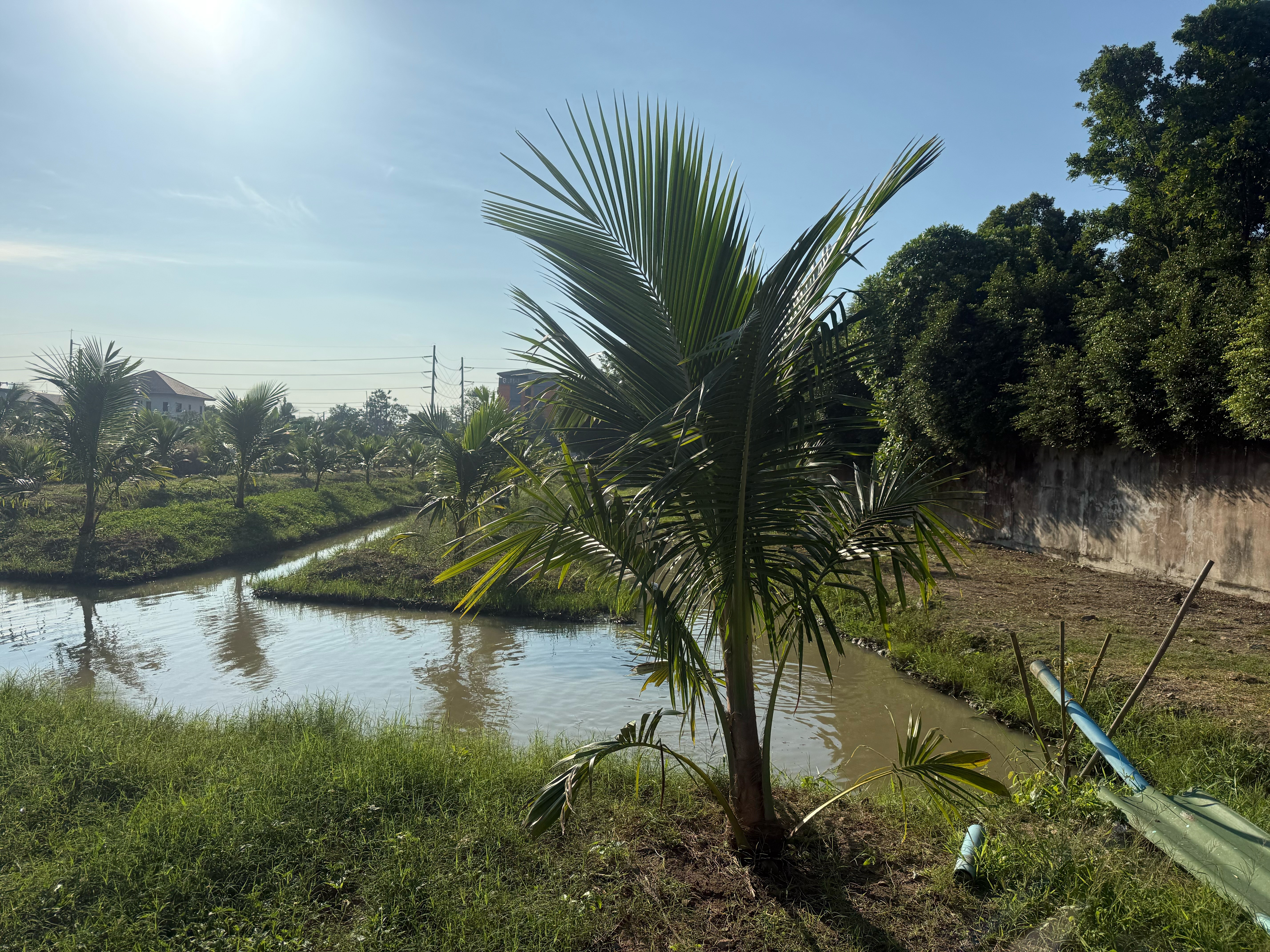 ขายที่ดินสำหรับสร้างบ้านอยู่อาศัย โกดัง หรือเพื่อการลงทุน สมุทรสาคร