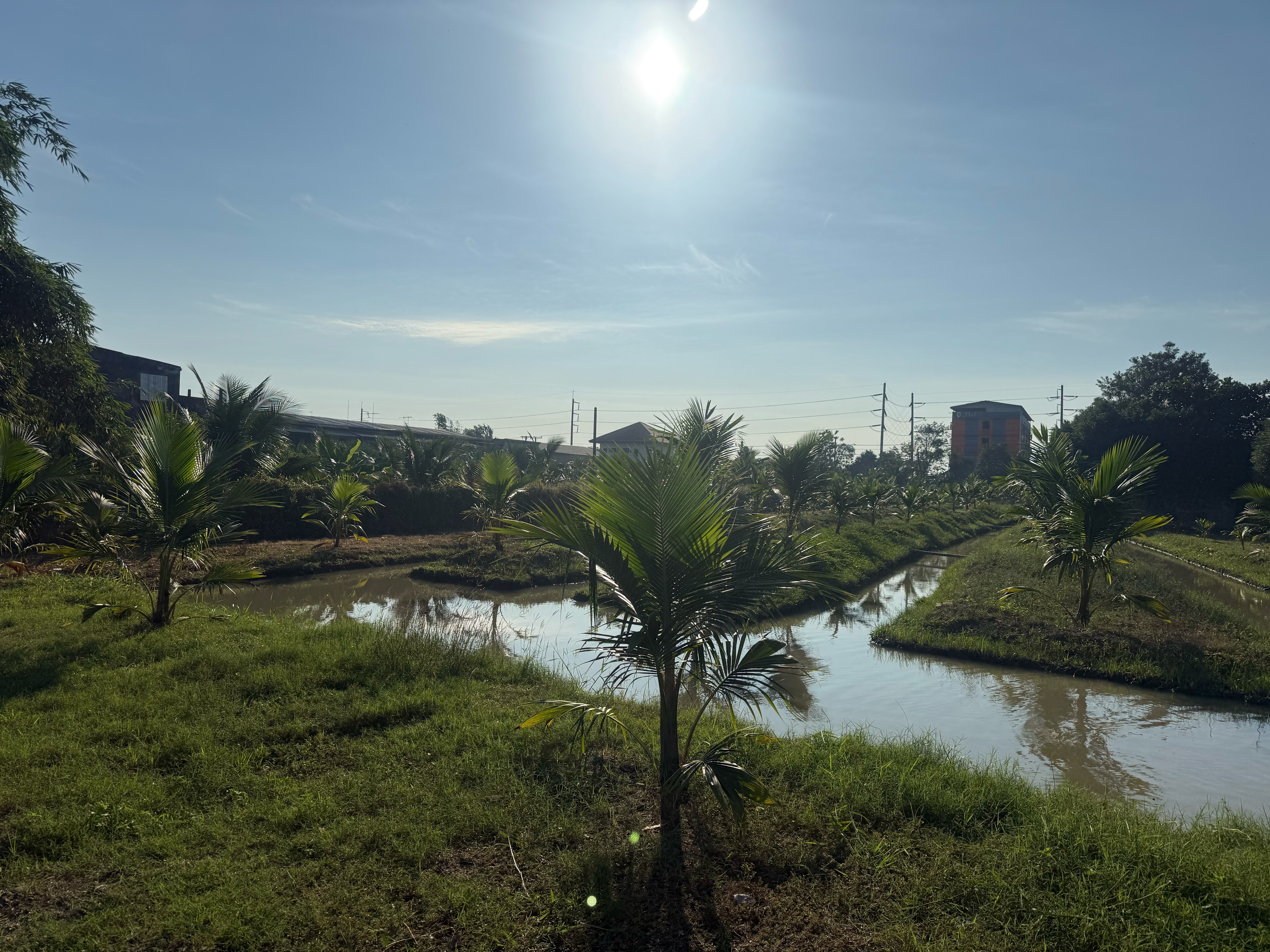 ขายที่ดินสำหรับสร้างบ้านอยู่อาศัย โกดัง หรือเพื่อการลงทุน สมุทรสาคร