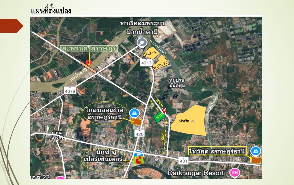 ขายที่ดิน 35 ไร่ 61  ตารางวา ตำบลบางกุ้ง อำเภอเมือง  จังหวัดสุราษฎร์ธานี  