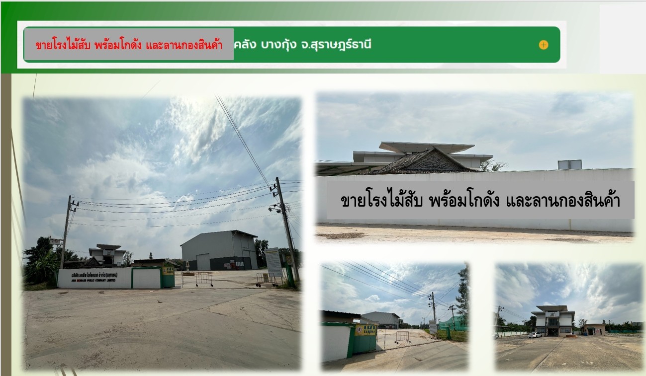 ขายที่ดิน 35 ไร่ 61  ตารางวา ตำบลบางกุ้ง อำเภอเมือง  จังหวัดสุราษฎร์ธานี  