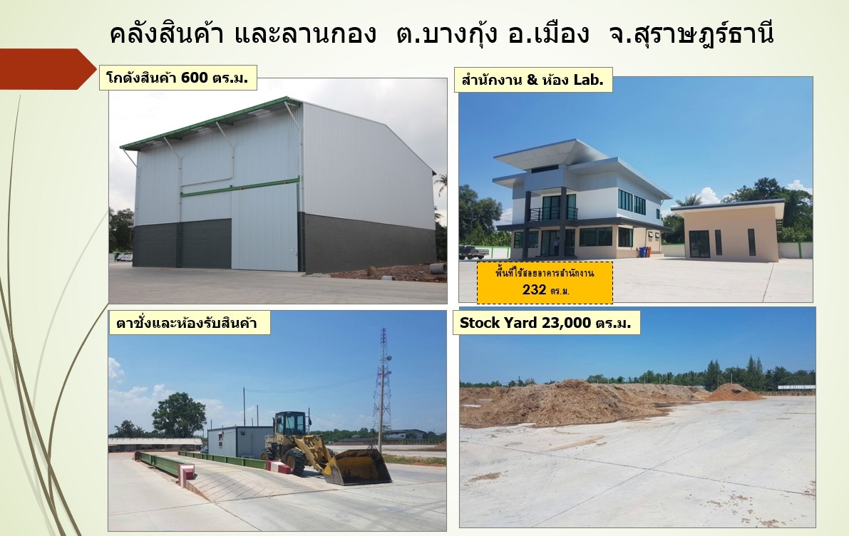 ขายที่ดิน 35 ไร่ 61  ตารางวา ตำบลบางกุ้ง อำเภอเมือง  จังหวัดสุราษฎร์ธานี  