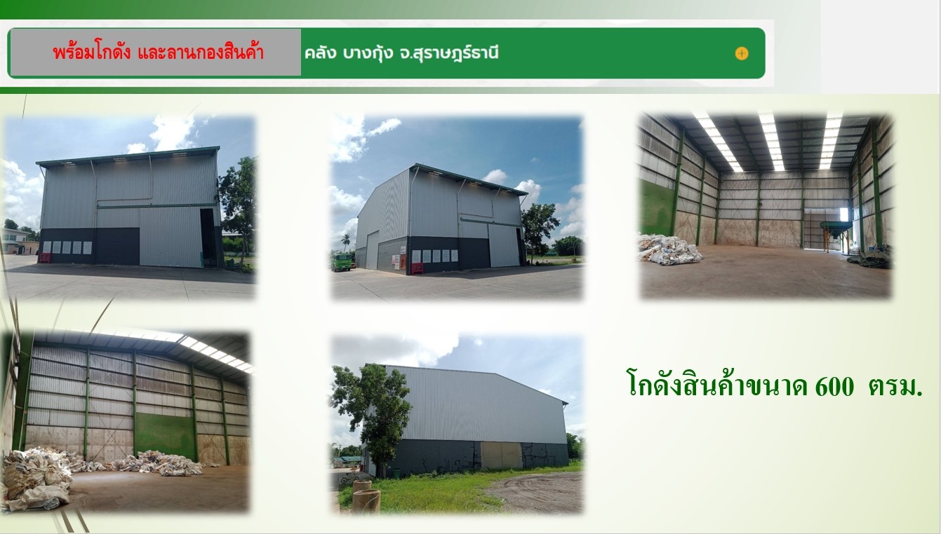 ขายที่ดิน 35 ไร่ 61  ตารางวา ตำบลบางกุ้ง อำเภอเมือง  จังหวัดสุราษฎร์ธานี  