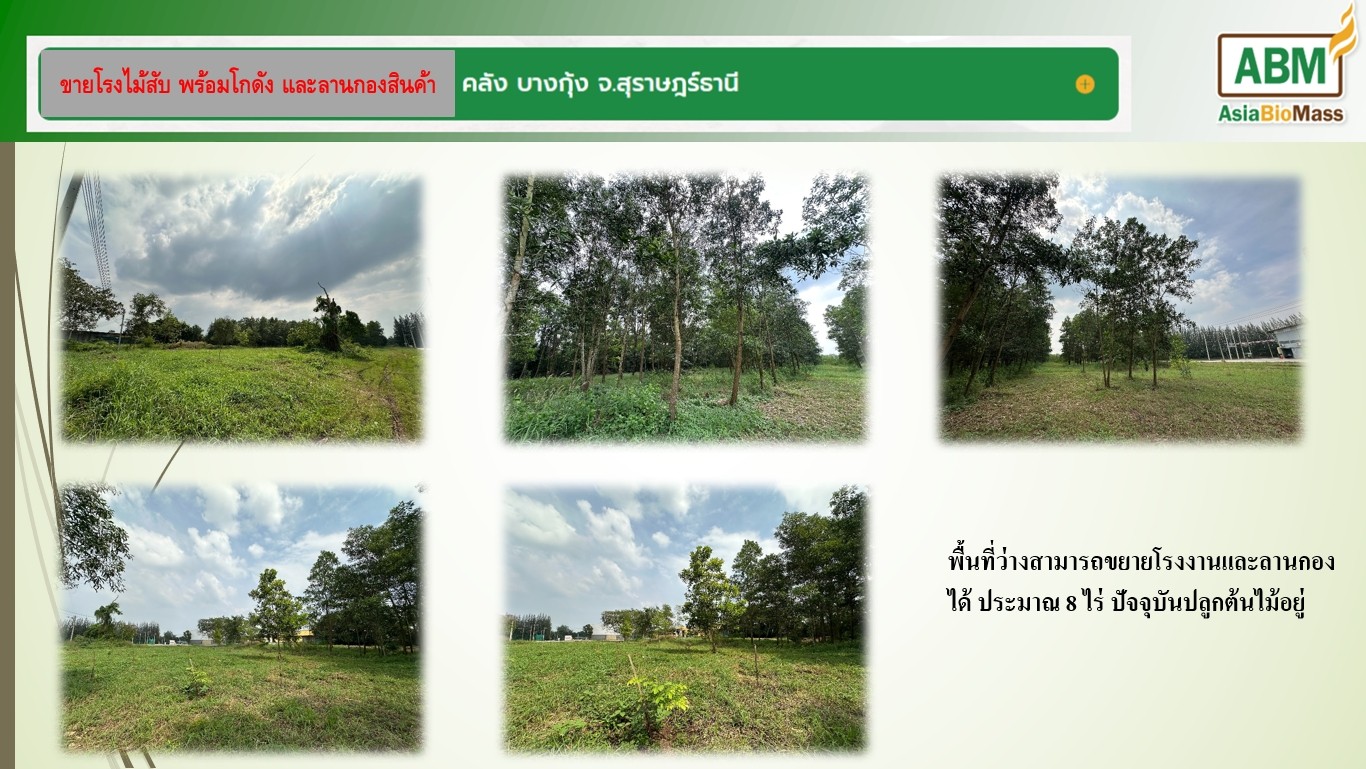 ขายที่ดิน 35 ไร่ 61  ตารางวา ตำบลบางกุ้ง อำเภอเมือง  จังหวัดสุราษฎร์ธานี  